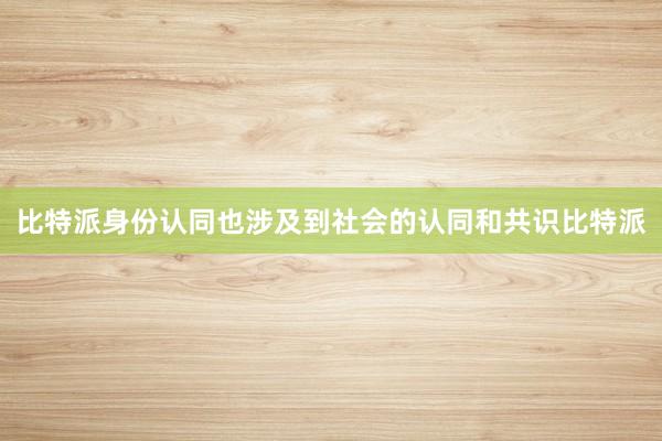 比特派身份认同也涉及到社会的认同和共识比特派