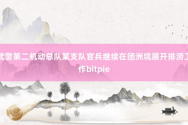 武警第二机动总队某支队官兵继续在团洲垸展开排涝工作bitpie