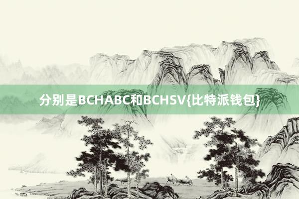 分别是BCHABC和BCHSV{比特派钱包}