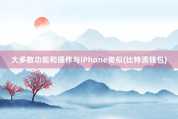 大多数功能和操作与iPhone类似{比特派钱包}