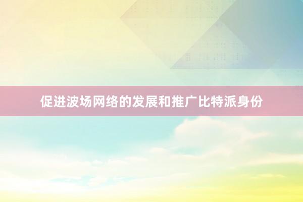 促进波场网络的发展和推广比特派身份