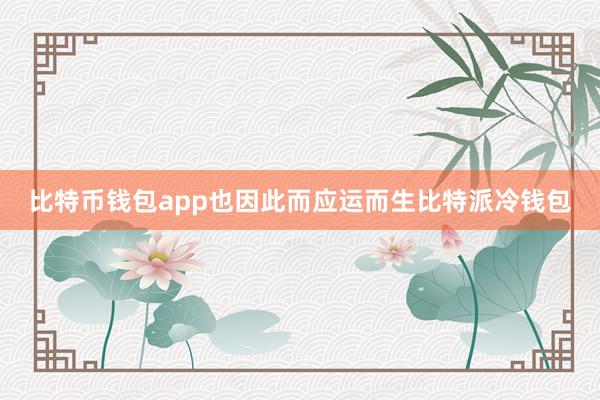 比特币钱包app也因此而应运而生比特派冷钱包