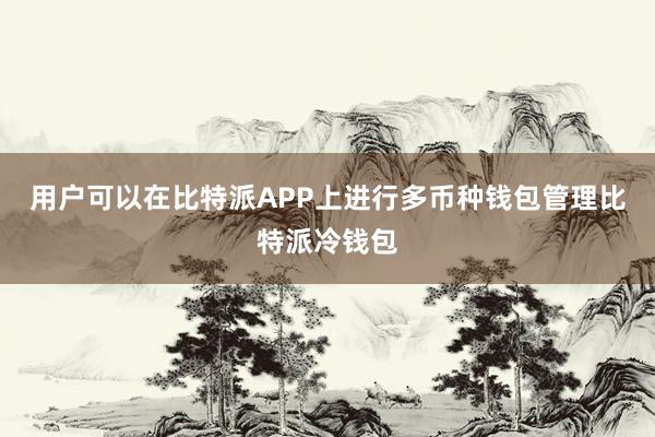 用户可以在比特派APP上进行多币种钱包管理比特派冷钱包