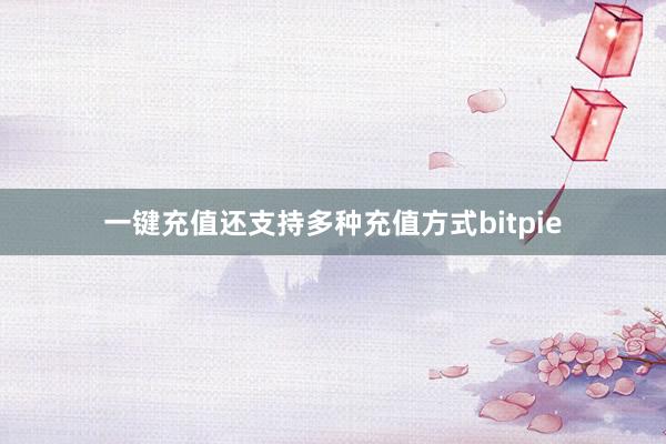 一键充值还支持多种充值方式bitpie