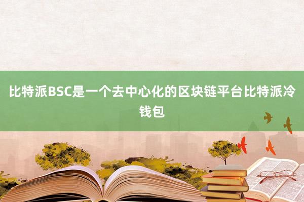 比特派BSC是一个去中心化的区块链平台比特派冷钱包