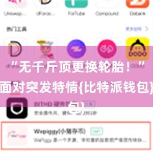 “无千斤顶更换轮胎！”面对突发特情{比特派钱包}