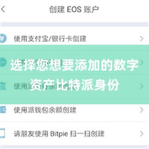 选择您想要添加的数字资产比特派身份