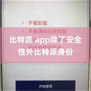 比特派 app除了安全性外比特派身份